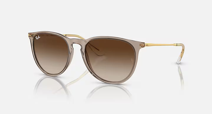 Ray-Ban Erika Classic Transparent Light Brown Frame with Brown Lenses