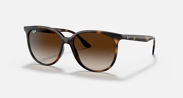 Ray-Ban Polished Havana Frame with Brown Lenses